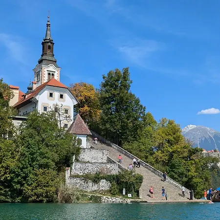 Privat bolig Cozy In The Center Of By The #1 Bled