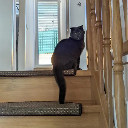 Habitación en casa particular Cozy In The Center Of By The #1 *