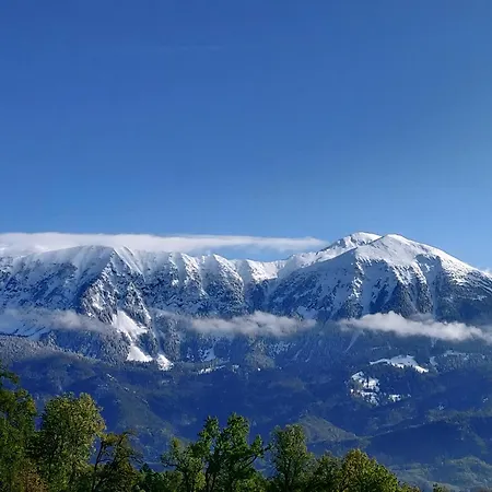 Cozy In The Center Of By The #1 *