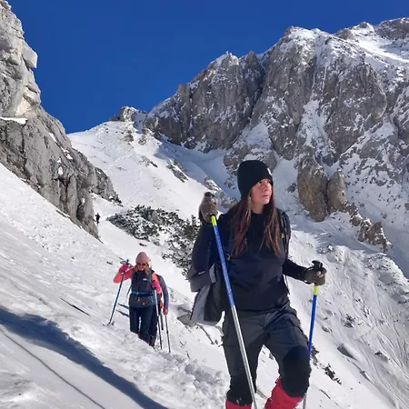 Cozy In The Center Of By The #1 * Bled