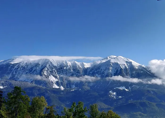 Cozy In The Center Of By The #1 *